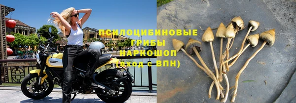 бутират Кодинск