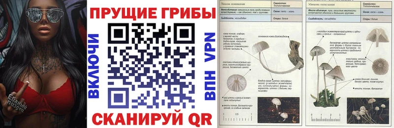 Галлюциногенные грибы Magic Shrooms  Купить  Евпатория 